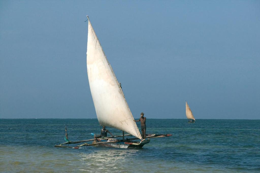 Sandies Coconut Village Malindi Eksteriør billede